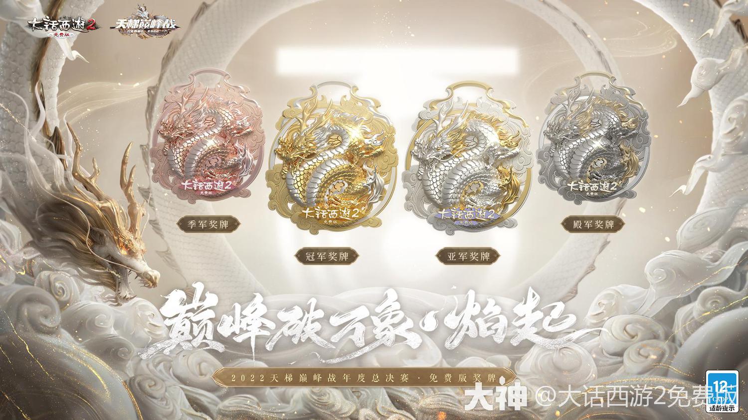 胜者为王！国内足球职业联赛争夺巅峰荣耀的简单介绍