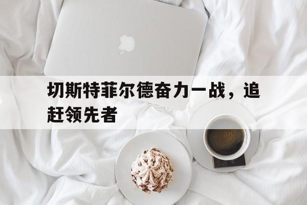 九游体育APP下载-关于切斯特菲尔德奋力一战，追赶领先者的信息
