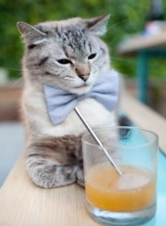 九游游戏-姆巴佩高能输出闪耀全场，巴萨硬仗力克牙买加展团队韧性