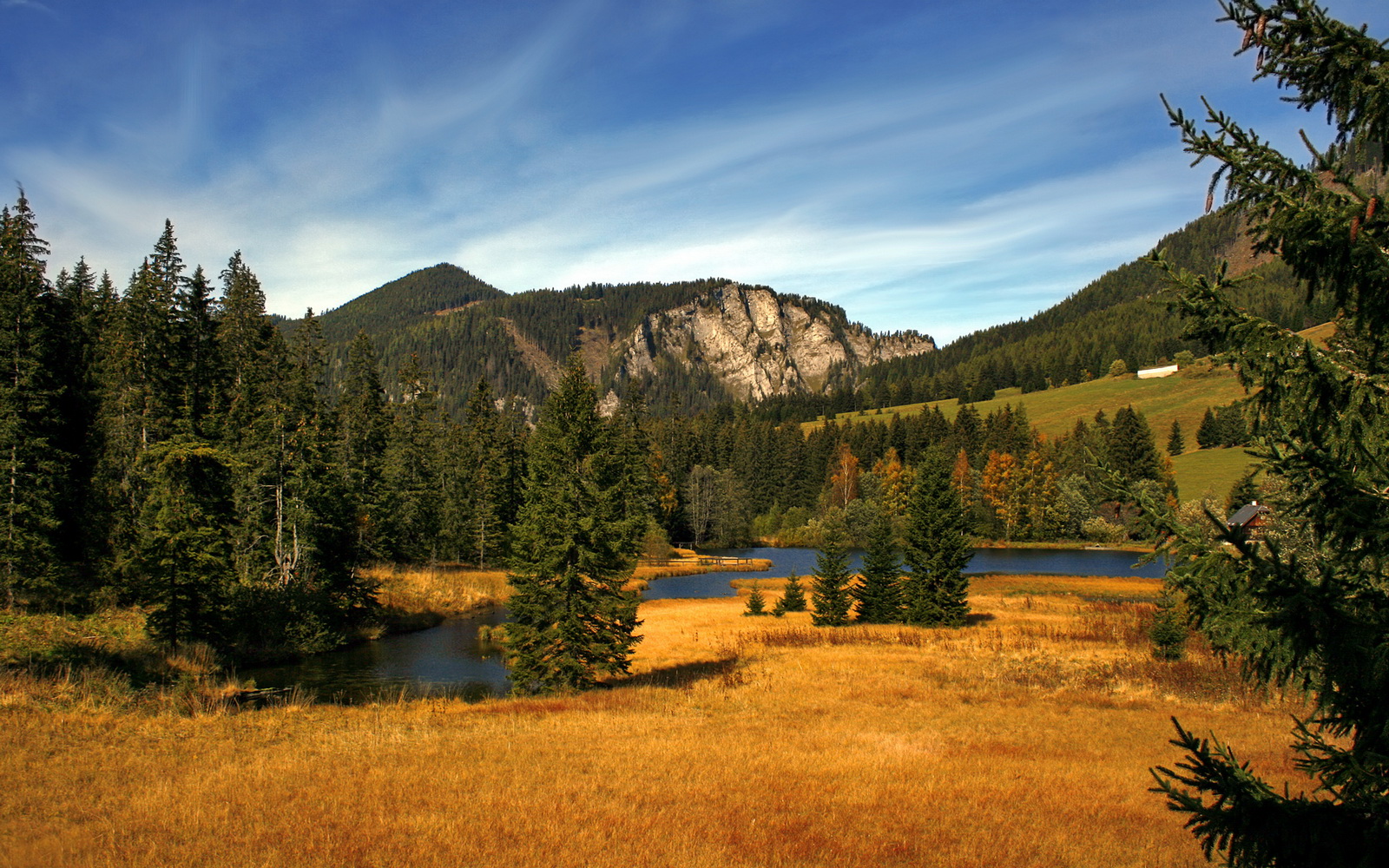 双线叙事，广东队的团队锋芒，霍勒迪的个人主宰
