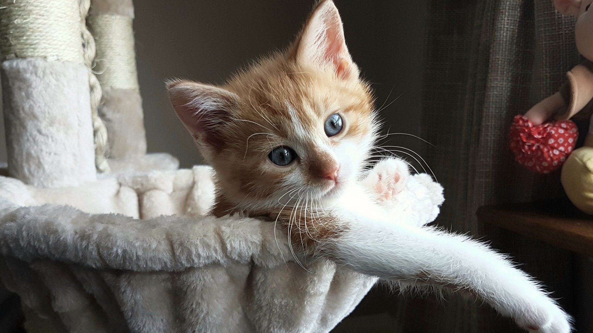 九游体育-逆转与接管，从篮球场到赛车道的孤胆英雄与团队风暴