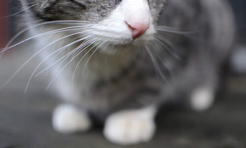 九游APP-宿敌对决，争冠变局与铁血逆转，足球的史诗从不独行