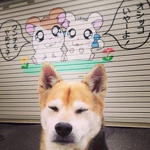 九游中国-冰冻的熔岩，哥斯达黎加的战术铁幕与拉什福德的孤星时刻—足球世界的两极启示